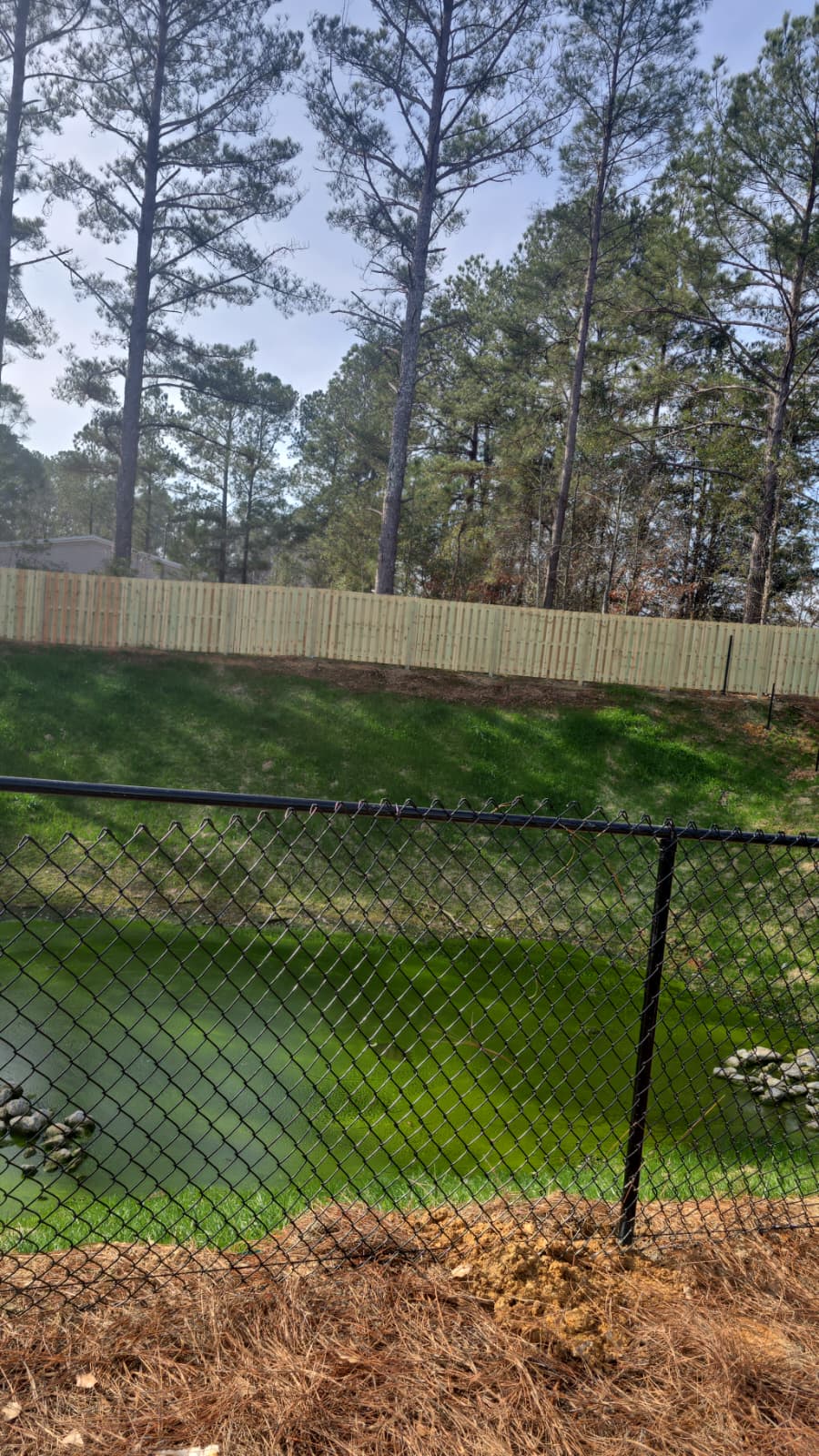 WhatsApp Image 2026-01-21 at 12.26.27 PM (1)