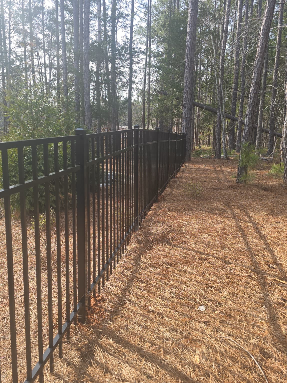 WhatsApp Image 2026-01-24 at 9.34.21 AM